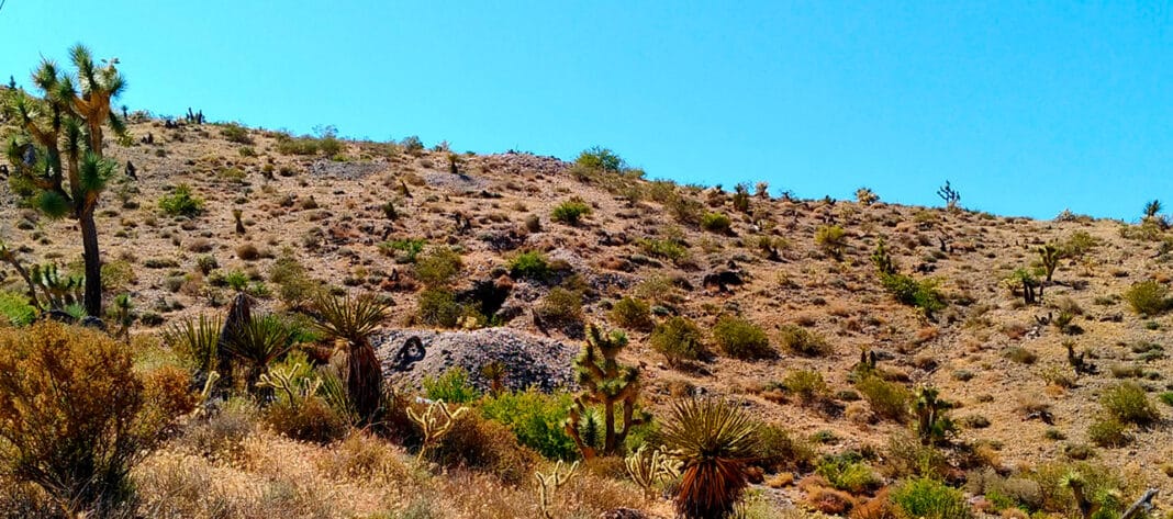 Canex Metals - Proyecto Gold Range, Arizona.